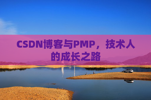 CSDN博客与PMP，技术人的成长之路